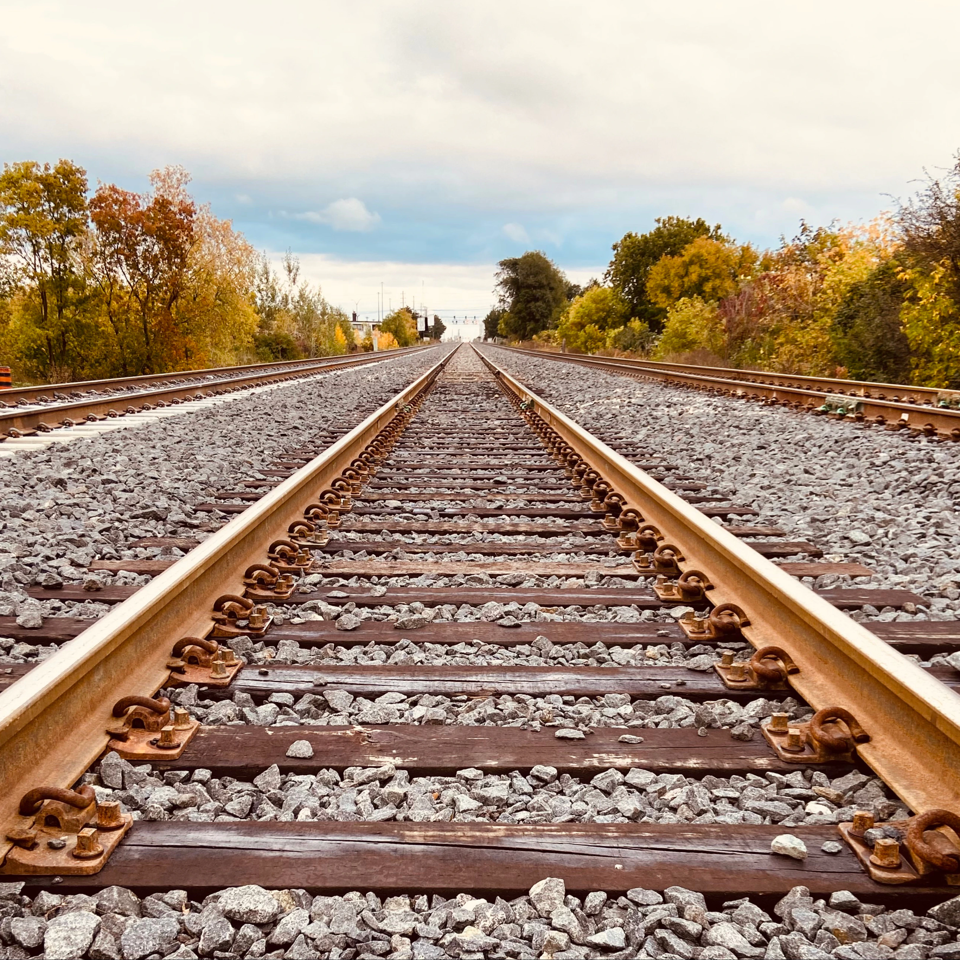 En train