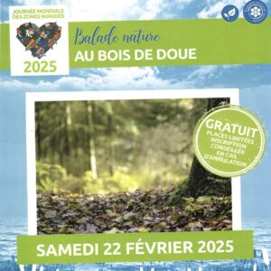 Découvrez la nature préservée du Bois de Doue lors de la Journée mondiale des zones humides