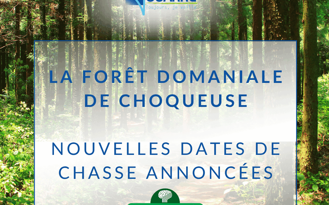 Chasse en forêt domaniale de Choqueuse — Saison 2025–2026 🌲🦌