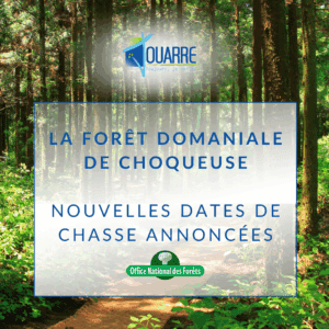 Chasse en forêt domaniale de Choqueuse — Saison 2025–2026 🌲🦌